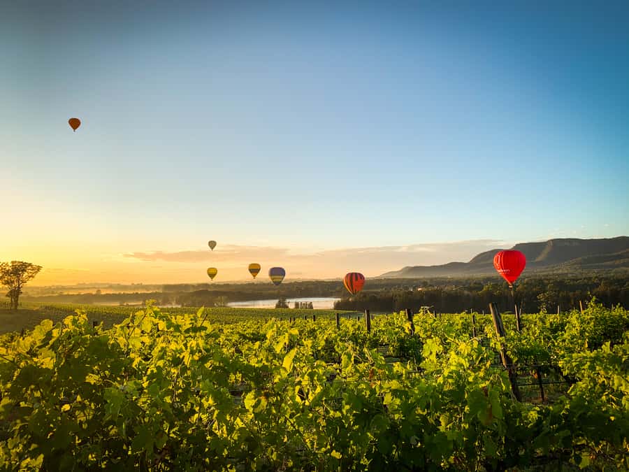Hunter Valley: Sunrise Balloon Ride with Bubbly Breakfast - Practical booking advice for a smoother morning