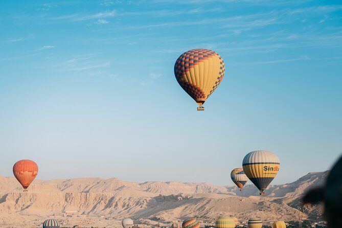 Luxury Balloon Ride in Luxor with Hotels Pickup - A bird’s-eye view of Luxor for $39.90