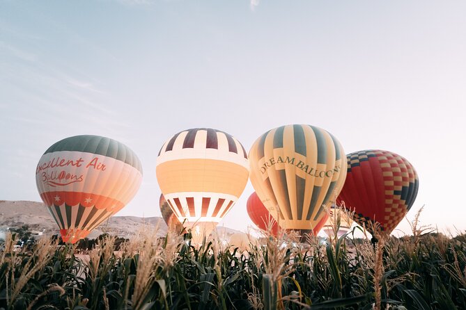 Luxury Balloon Ride in Luxor with Hotels Pickup - The flight itself is gentle, but not especially long