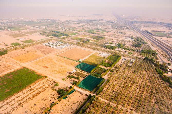 Magical Hot Air Balloon In Dubai - Key points to know before booking