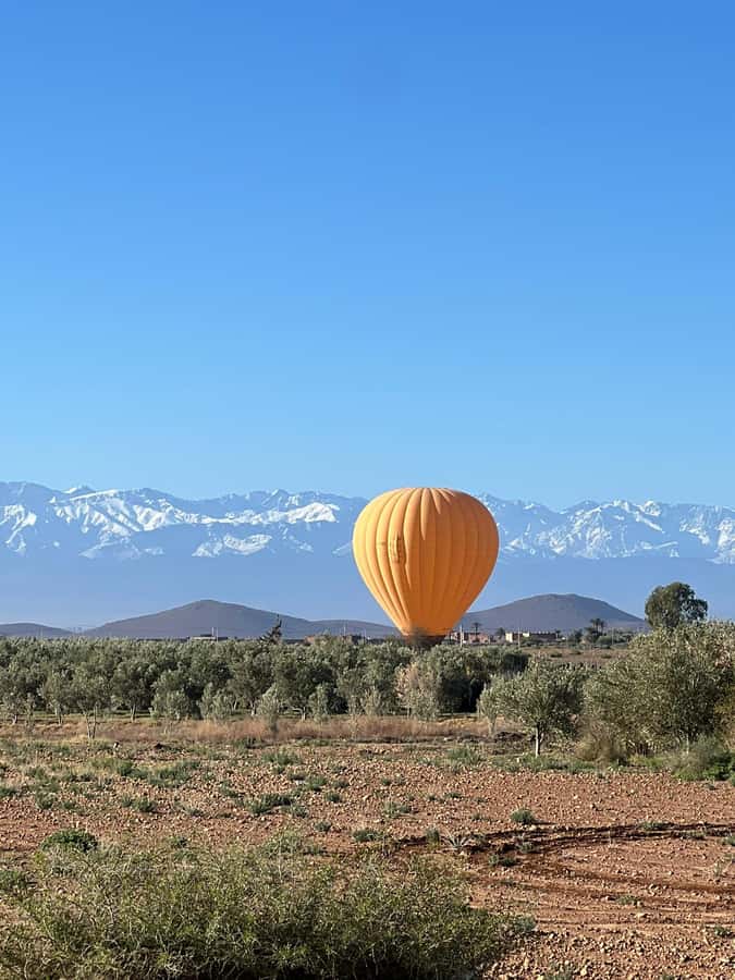 Marrakech: Balloon Flight, Berber Breakfast & Certificate - How much value is packed into $113?