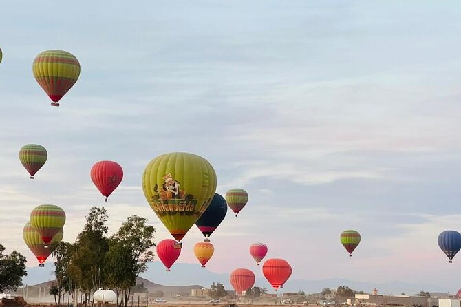Marrakech Hot Air Balloon Ride: Amazing sunrise experience - Key points to know before booking