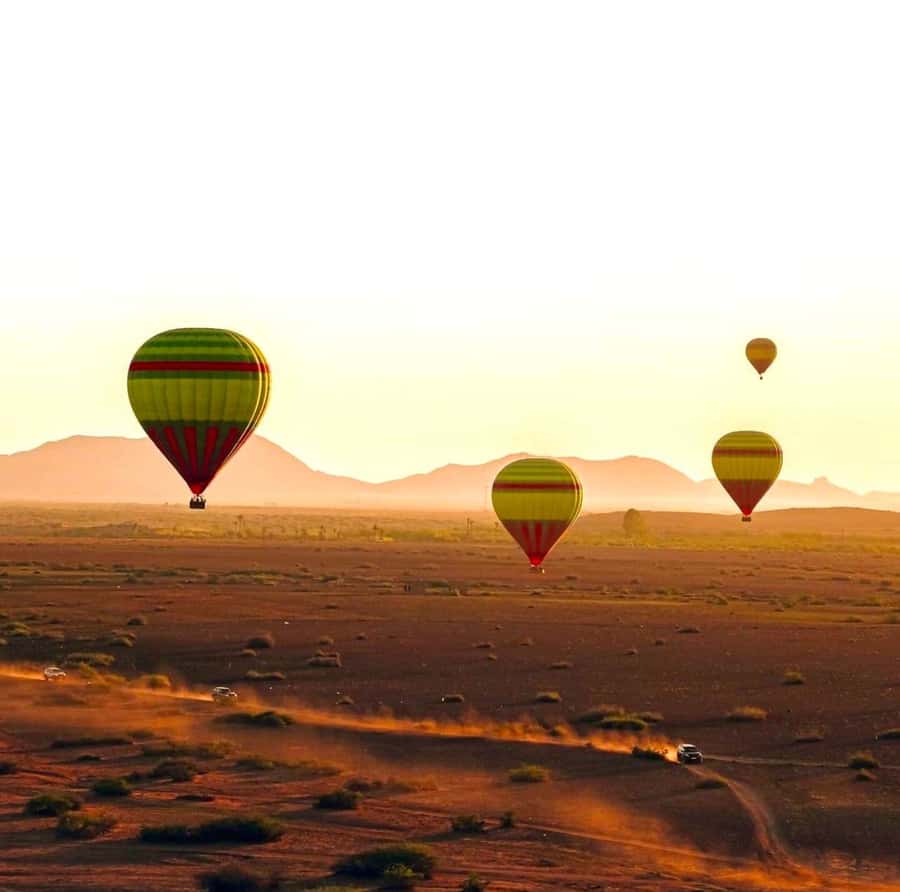 Marrakech: VIP Flight with Private Section in Shared Balloon - One hour above the palm groves