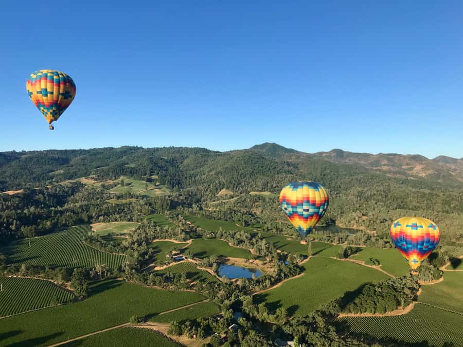 Napa Valley: Hot Air Balloon Adventure - Who should book this Napa balloon ride?