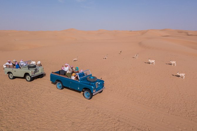 Overnight Safari and Sunrise Hot-Air Balloon Ride - Sunset falcons above the Arabian Desert