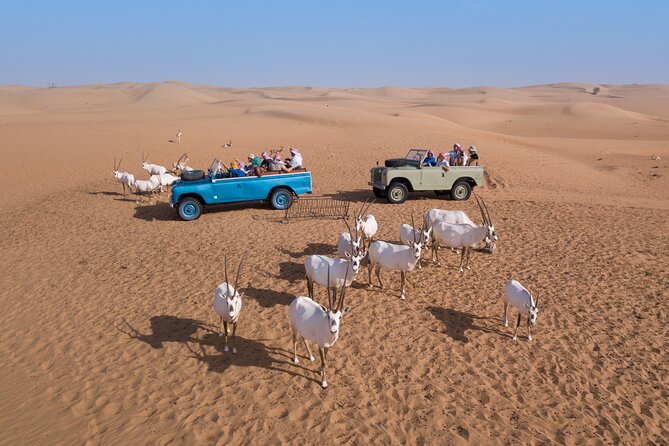 Overnight Safari and Sunrise Hot-Air Balloon Ride - What the overnight room is really like