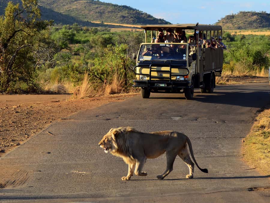 Pilanesberg National Park/Sun City Hot Air Balloon Safari - A private lodge breakfast