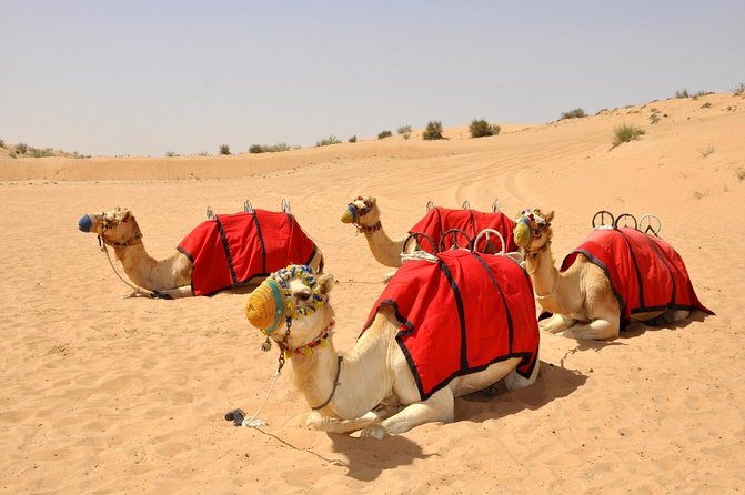Premium Hot Air Balloon, Breakfast, Camel Ride, Quad Bike & More - Key points to know before booking