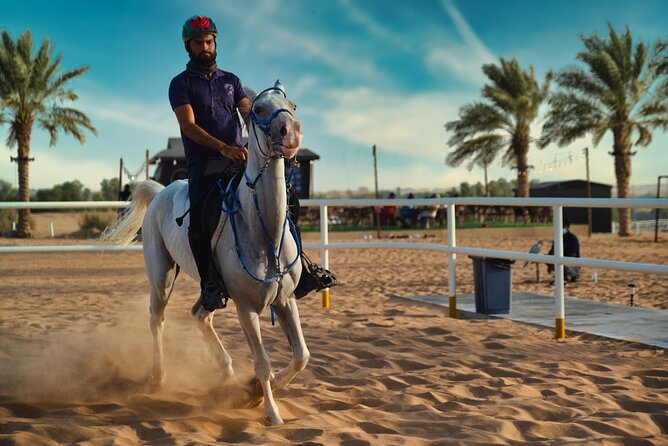 Premium Hot Air Balloon, Breakfast, Camel Ride, Quad Bike & More - Camel ride, quad biking, and dune bashing