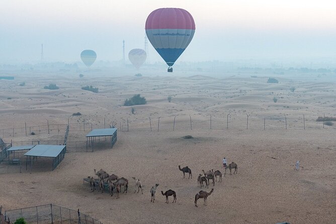 Private Hot Air Balloon Tour over the Dubai Desert - A 3:30 a.m. start for a quiet desert morning