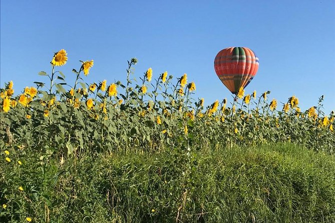 Professional hot air balloon rides at Assisi, Trasimeno in Umbria - Landing, packing the balloon, and returning to the winery