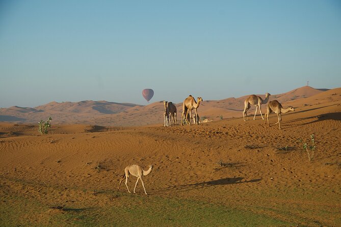 RAK Hot Air Balloon Flight - Watching the balloon take shape