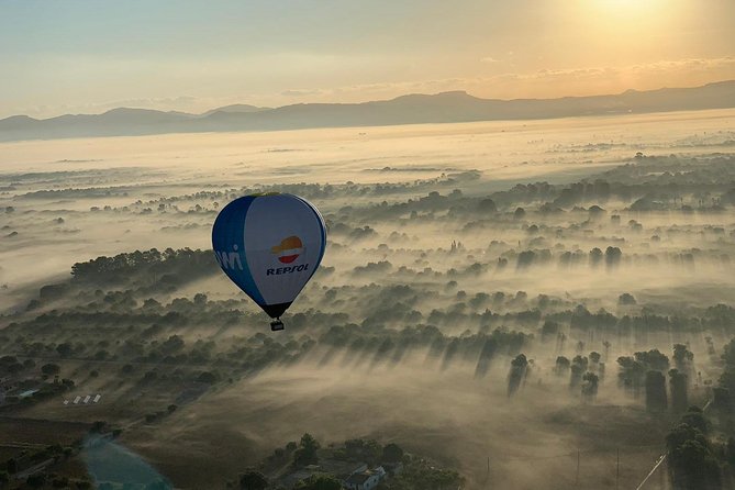 Romantic Sunrise Balloon Tour in Majorca - Landing, field work, and the return