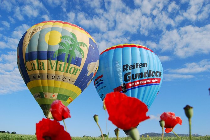 Romantic Sunrise Balloon Tour in Majorca - Who will enjoy this most