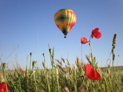 Hot-Air Balloon Flight with Optional 3-Course Lunch