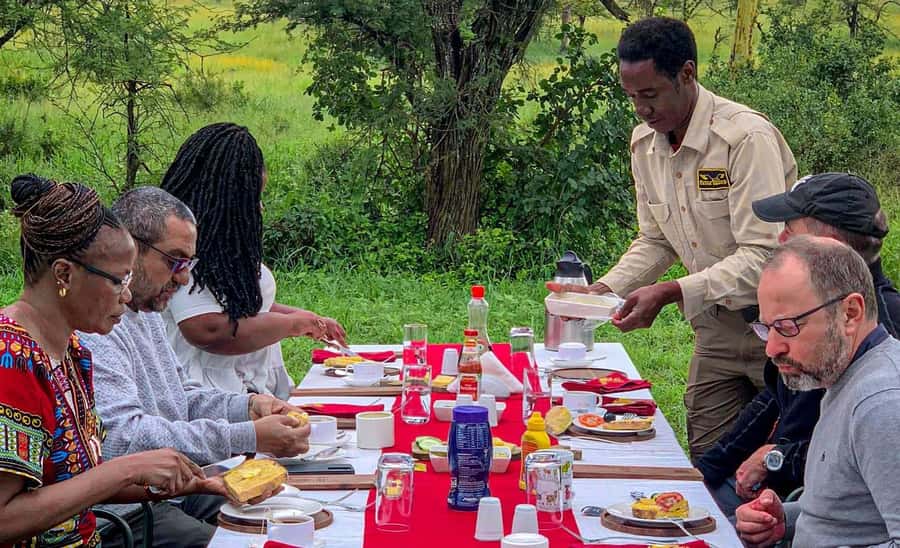 Serengeti Balloon Ride and Luxury Bush Breakfast - Key points at a glance