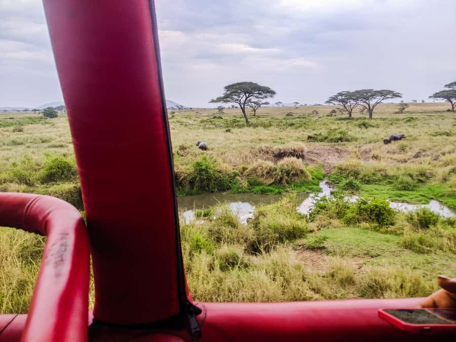 Serengeti Balloon Ride and Luxury Bush Breakfast - Landing, champagne, and the bush breakfast