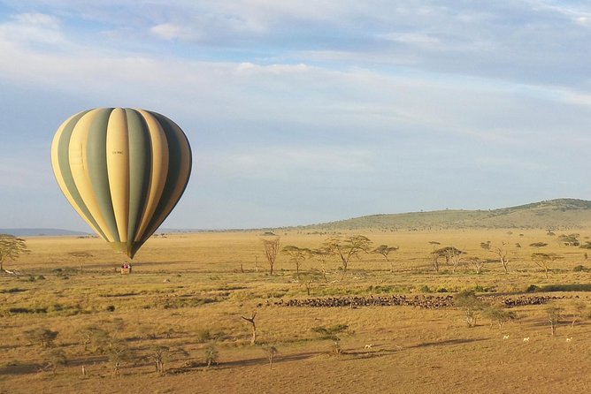 Serengeti Balloon Safari and authentic bush breakfast - Why a balloon gives you a different Serengeti morning