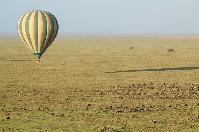 Serengeti Balloon Safari and authentic bush breakfast - Ndutu: a seasonal option from mid-December to March