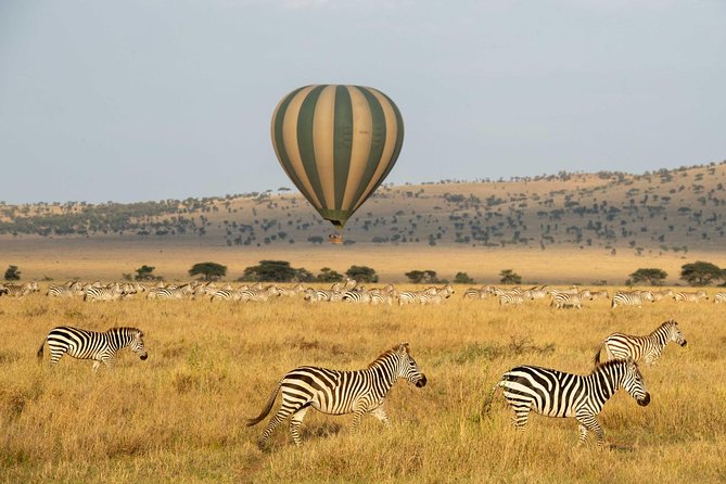 Serengeti Balloon Safari and authentic bush breakfast - Kogatende: northern Serengeti flights from June to November
