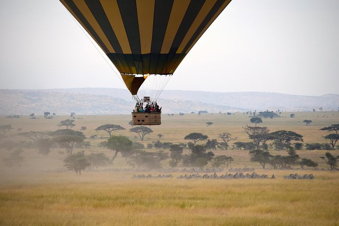 Serengeti Balloon Safari and authentic bush breakfast - One hour in the air, with no fixed route