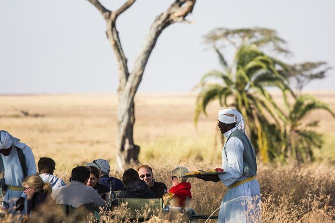 Serengeti Balloon Safari and authentic bush breakfast - Wildlife from above: beautiful, but not guaranteed