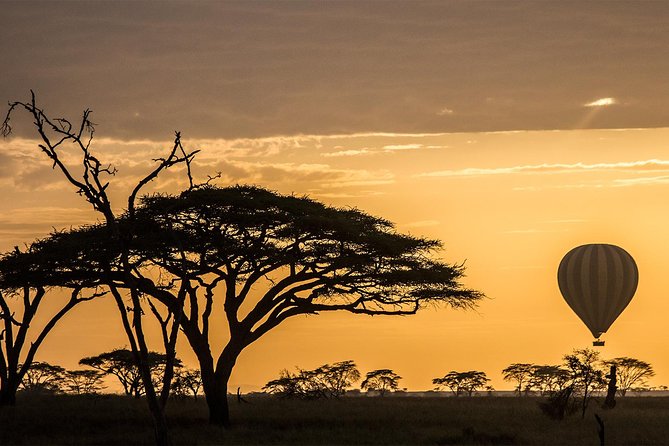 Serengeti Balloon Safari and authentic bush breakfast - The early start and launch-site routine