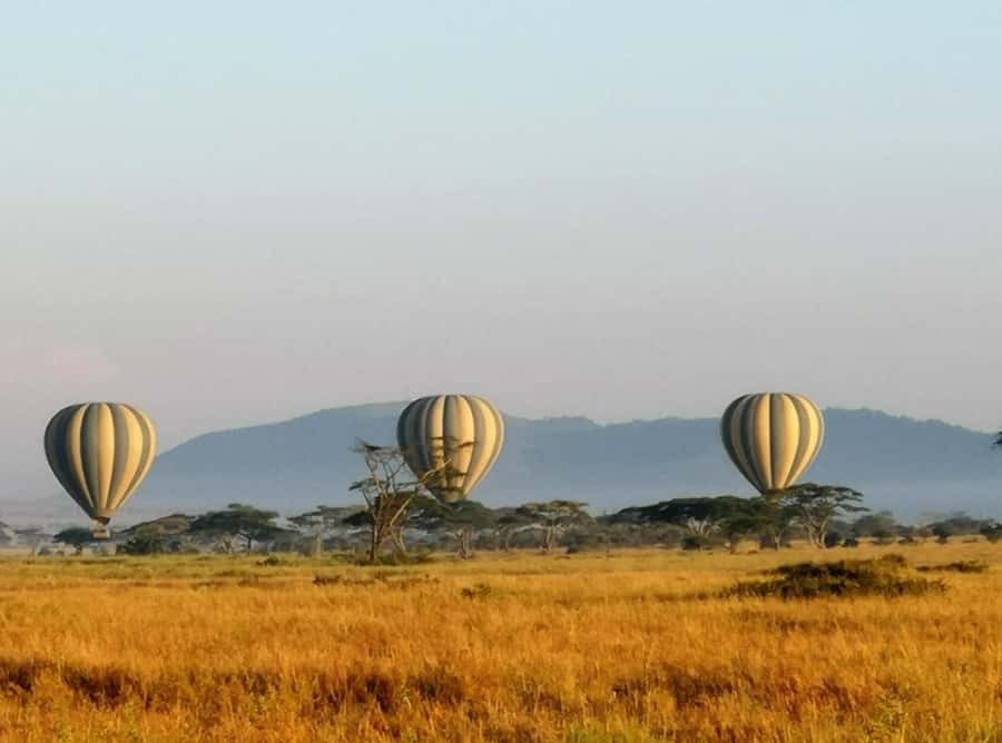 Serengeti: Hot Air Balloon Flight with Champagne Breakfast - Practical planning for a smooth morning