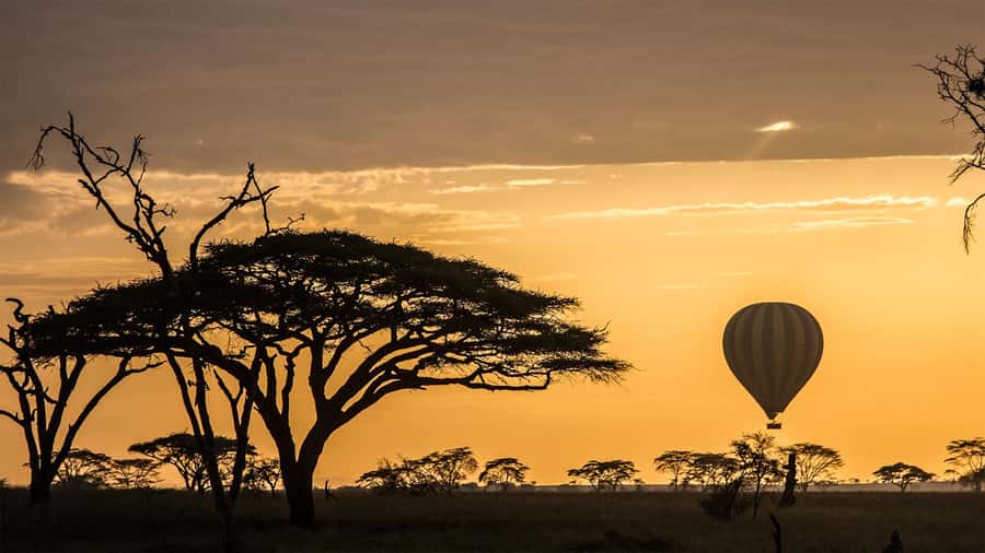 Serengeti National Park: Balloon Safari at Dawn - What the $599 price really buys