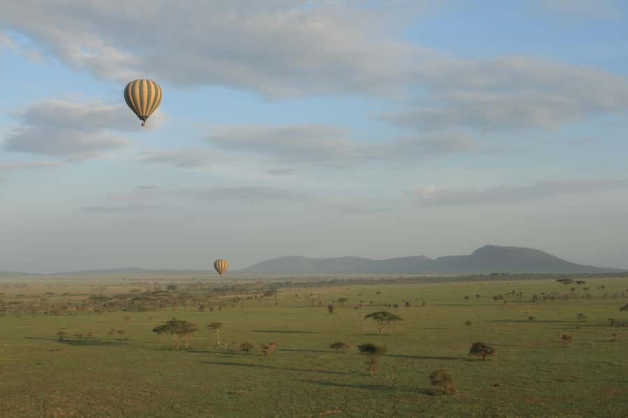 Serengeti National Park: Balloon Safari at Dawn - Should you book the Serengeti balloon safari?