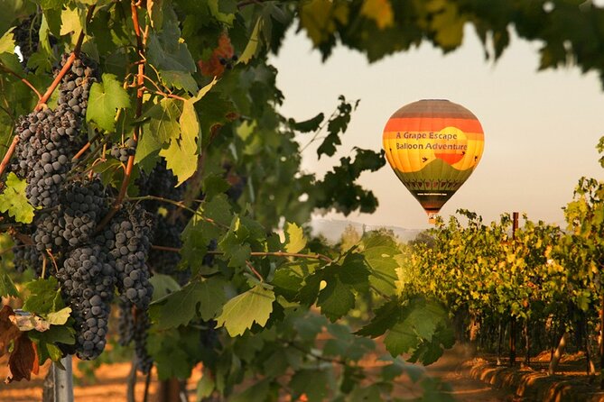 Sunrise Hot Air Balloon Flight over the Temecula Wine Country - Sunrise over Temecula Valley