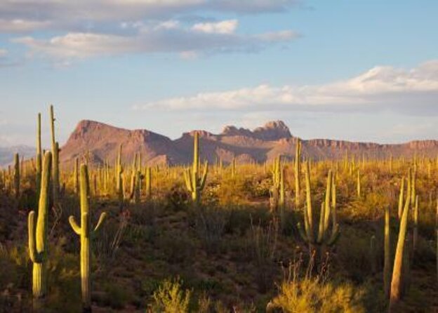 Sunset Hot Air Balloon Ride Over Phoenix - Key points to know before you book