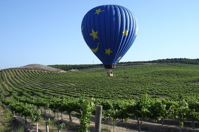 Temecula Shared Hot Air Balloon Ride - Key points to know before booking