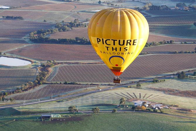 Yarra Valley sunrise balloon flight & champagne breakfast - Sunrise above the Yarra Valley