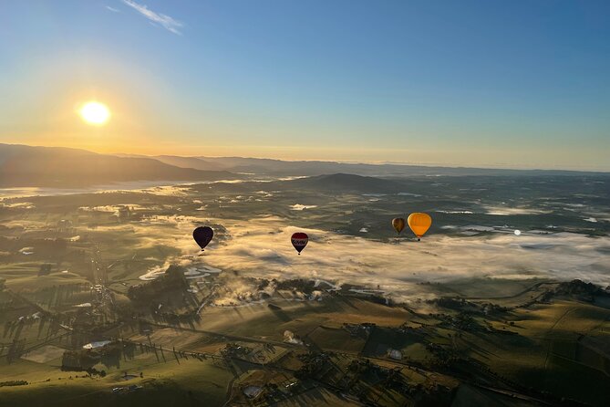 Yarra Valley Sunrise Balloon Flight with GoPro Photos - An hour above vineyards, farms, and fog